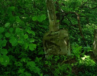Nagrobek Jana Tarniawy, cmentarz w Kozłowie