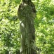 Fotografia przedstawiająca Tombstone of Tekla Falińska