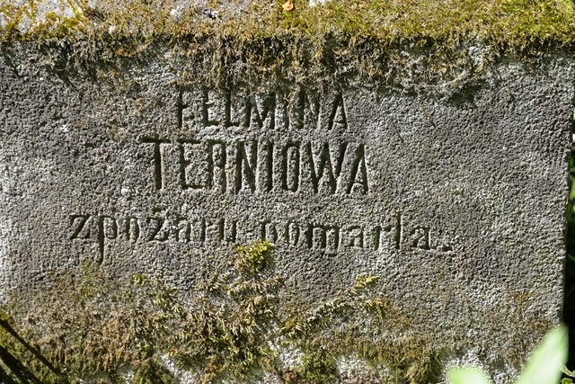 Inscription from the tombstone of Telimena Terń, Kozłów cemetery