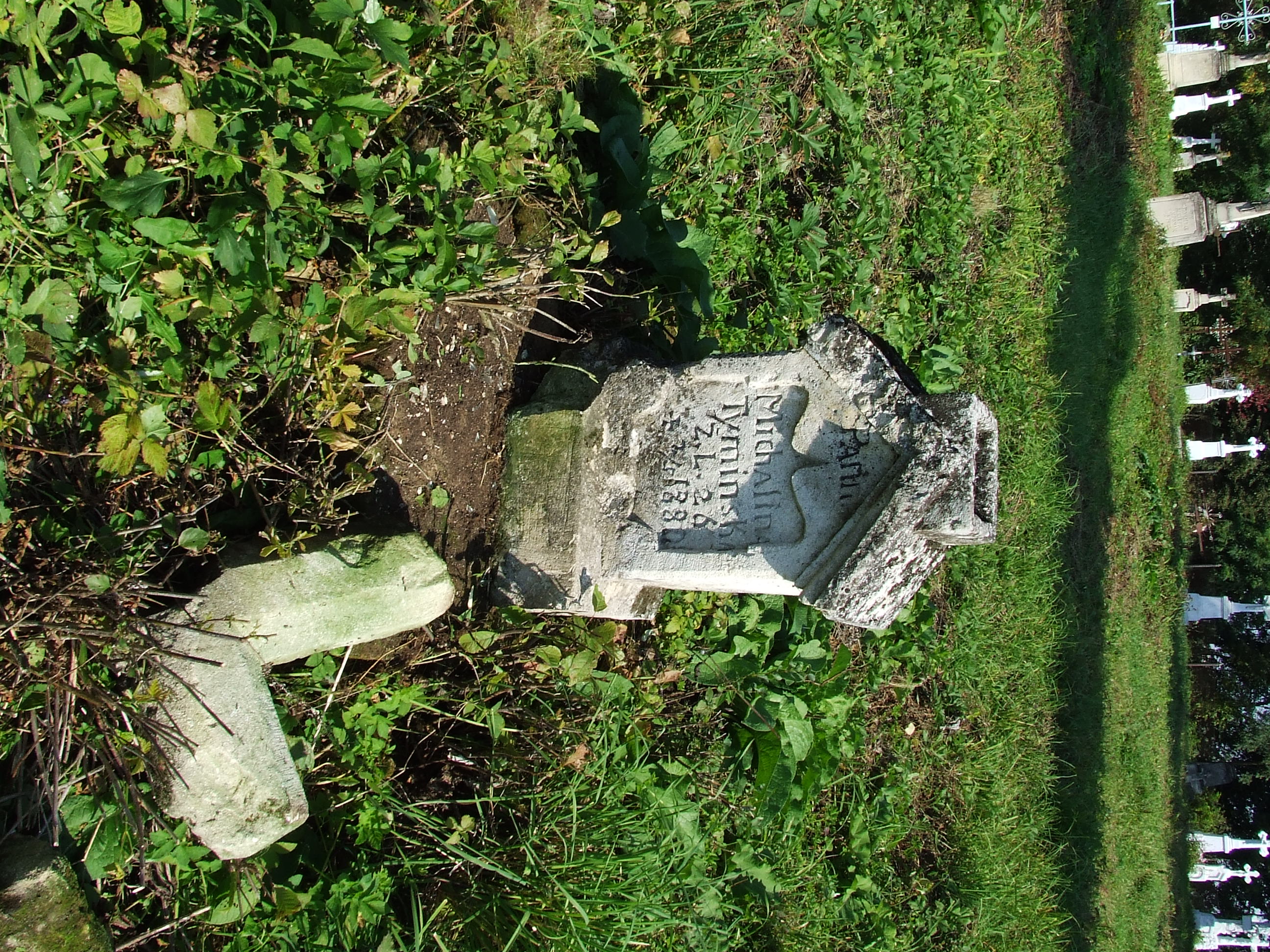 Nagrobek Michaliny Tymińskiej, cmentarz w Baryszu, stan z 2006 r.