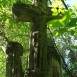 Fotografia przedstawiająca Tombstone of Viktoria and František Toporowski