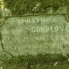 Fotografia przedstawiająca Tombstone of Michał Sokołuski