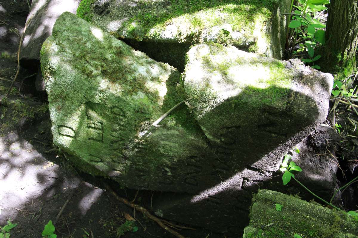 Tombstone of Leonard Ladomirski, Kozlowo cemetery