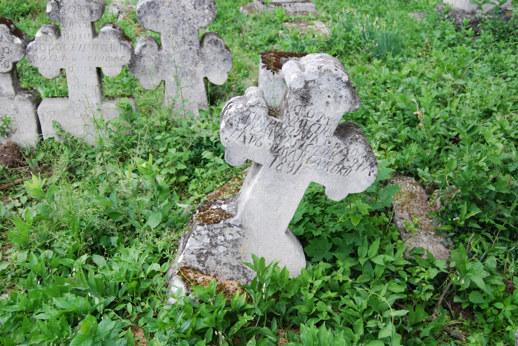 Tombstone of Agnieszka Ivashchuk, Zbarazh cemetery, sector 01a