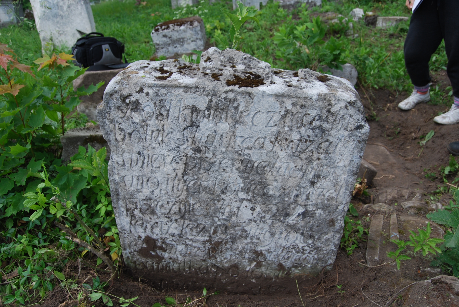 Inskrypcja zapisana kursywą., cmentarz w Zbarażu, sektor 01a