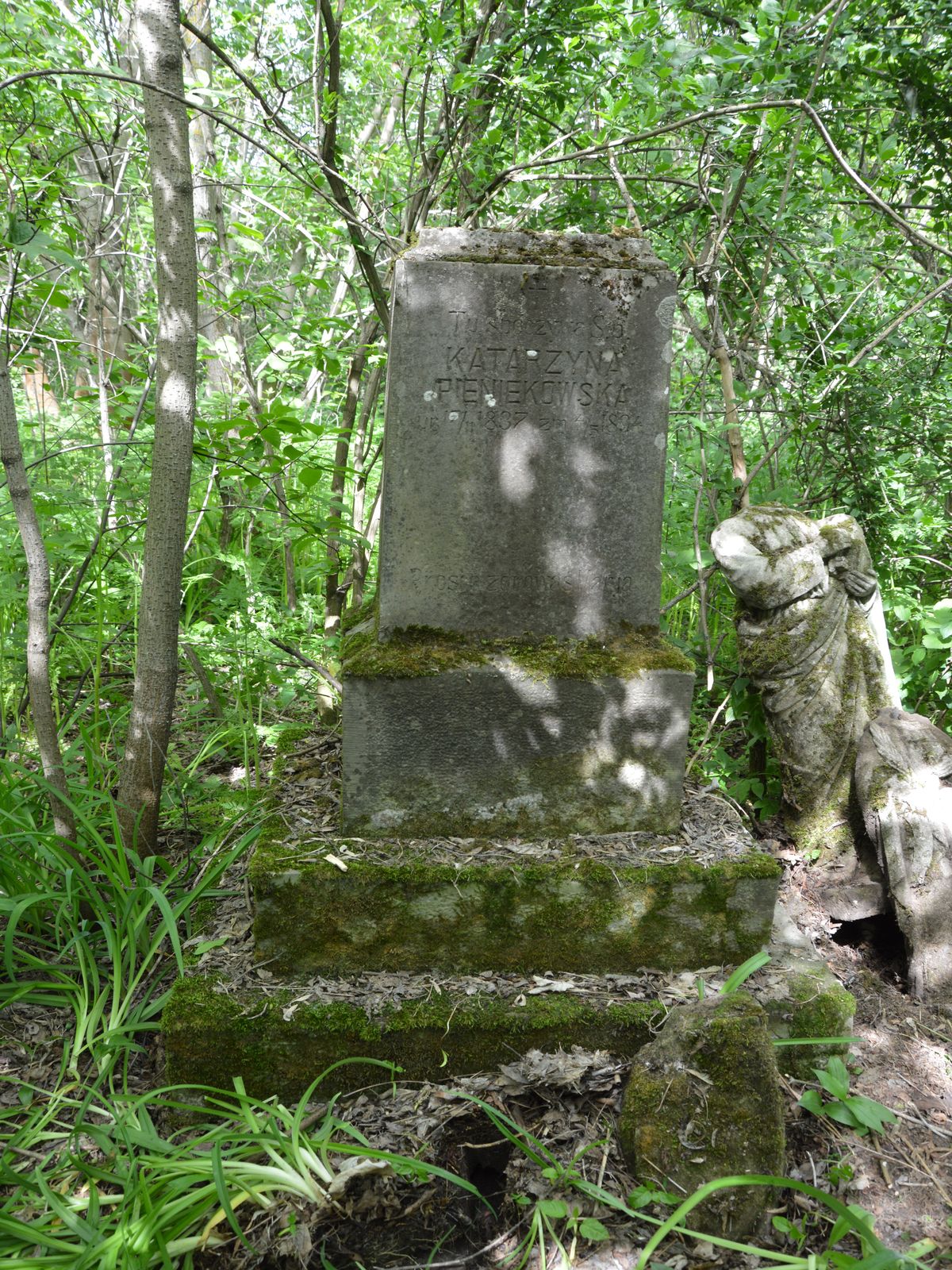 Tombstone of Katarzyna Pieniekowska in the cemetery in Draganovka