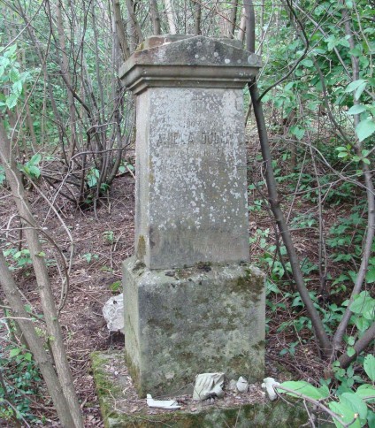 Nagrobek Anieli Dudarz na cmentarzu w Draganówce