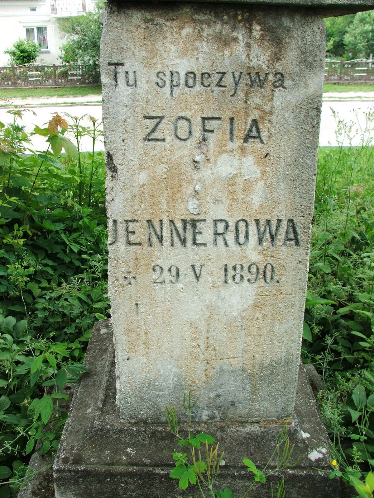 Nagrobek Zofii Jennerowej, cmentarz w Zbarażu, sektor 01b