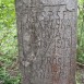 Photo showing Tombstone of Catherine [...]smith