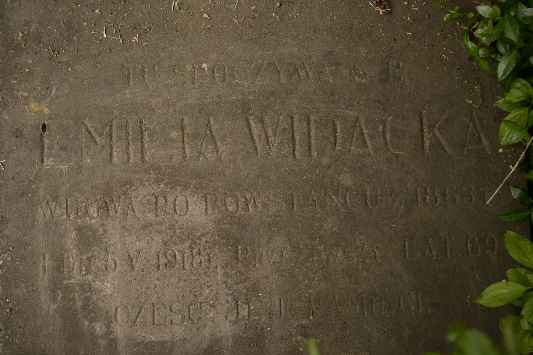 Inscription on the gravestone of Emilia Widacka in Draganovka cemetery