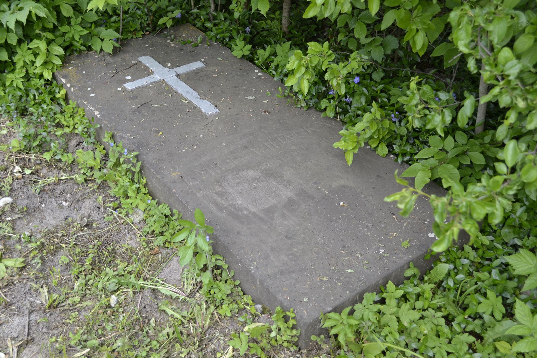 Emilia Widacka's gravestone in the cemetery in Draganovka