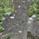 Fotografia przedstawiająca Tombstone of Szymon Pasczyń