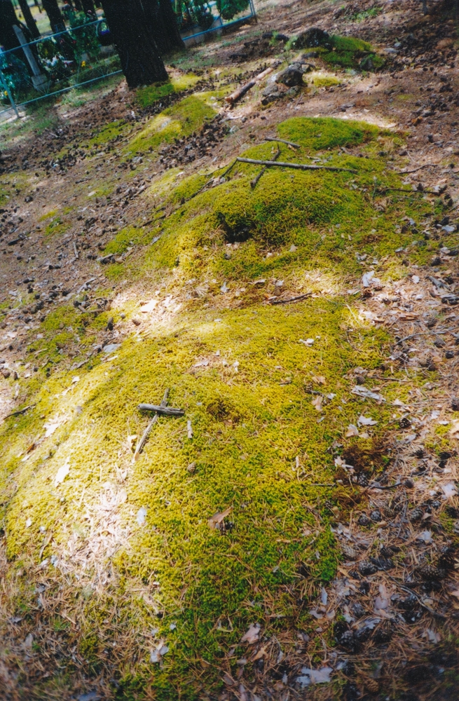 Fotografia przedstawiająca Graves of Polish deportees in the local cemetery