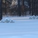 Fotografia przedstawiająca Cmentarz szpitala specjalnego NKWD nr 2989