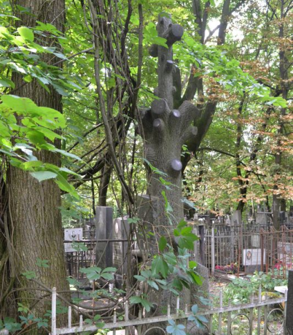 Nagrobek Zygmunta Spława-Neyma, cmentarz Bajkowa w Kijowie, stan z 2021.