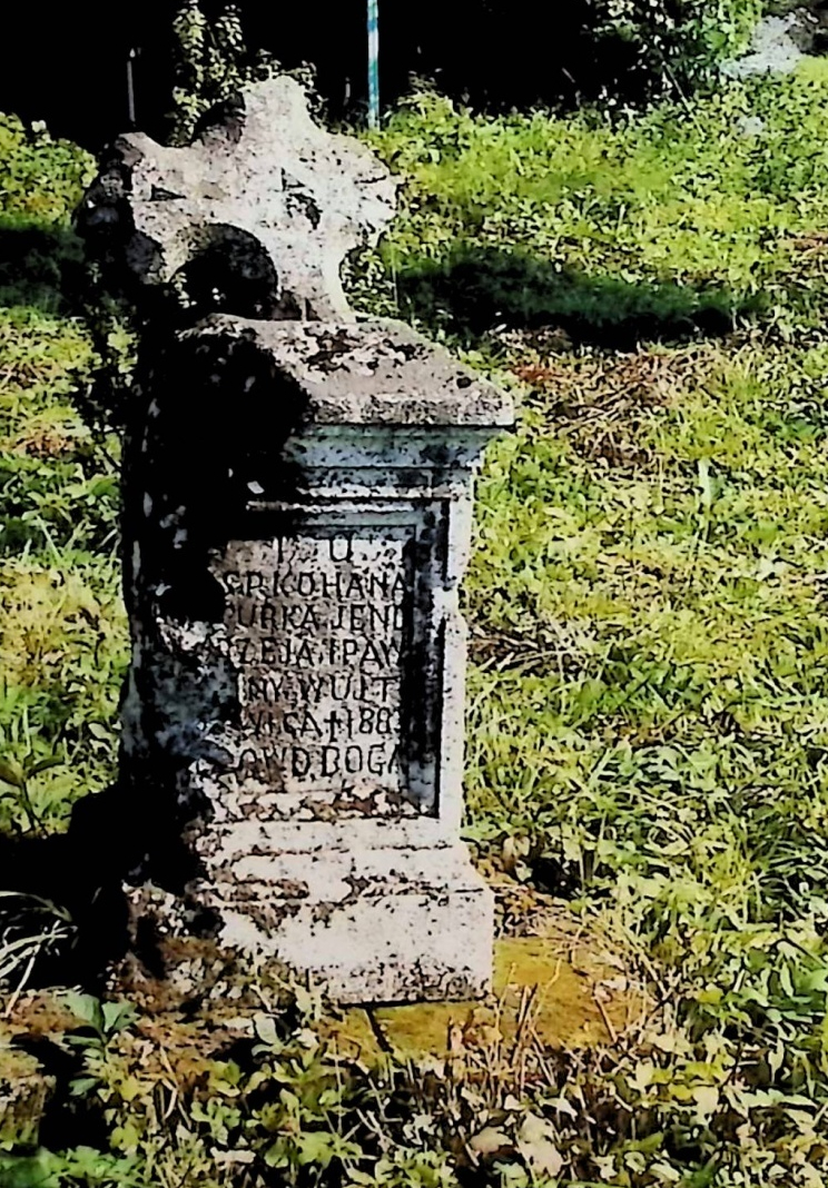 Fotografia przedstawiająca Tombstone of [...] Wujtowic