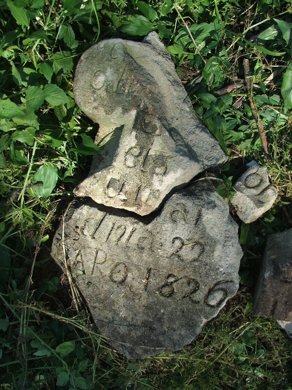 Tombstone of N.N., Zbarazh cemetery, sector 01b