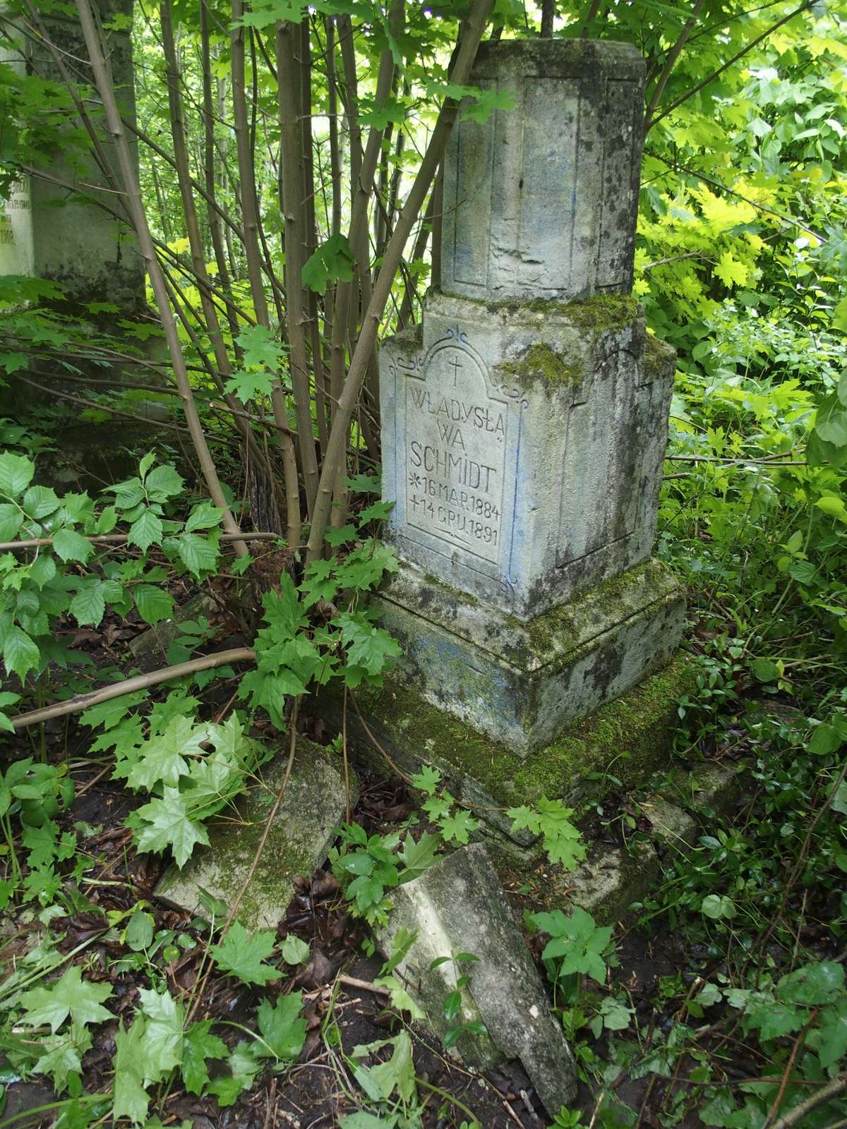 Tombstone of Władysława Schmidt, Dobrowody cemetery, 2019