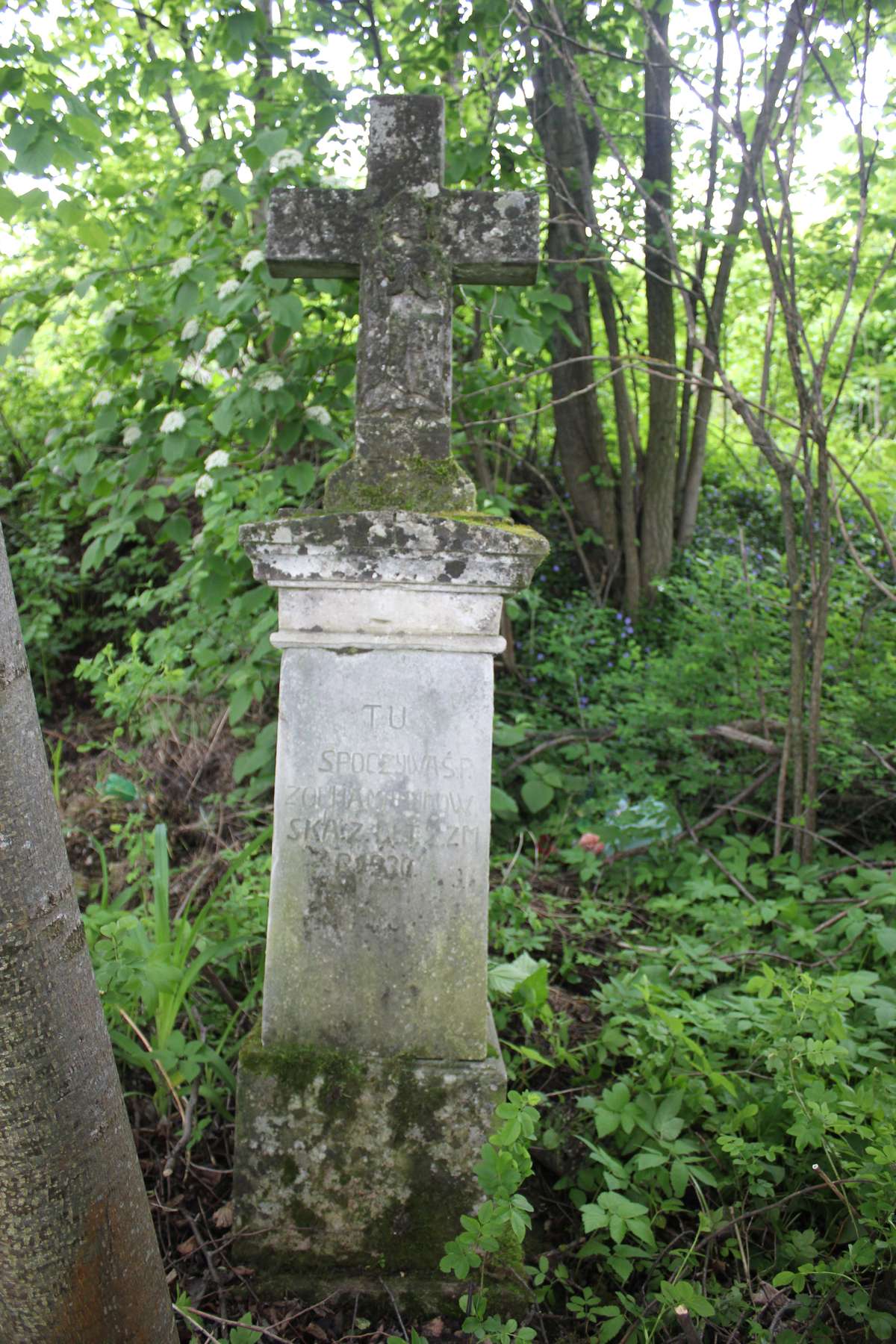 Nagrobek Zofii Marynowskiej, cmentarz w Dobrowodach, 2019
