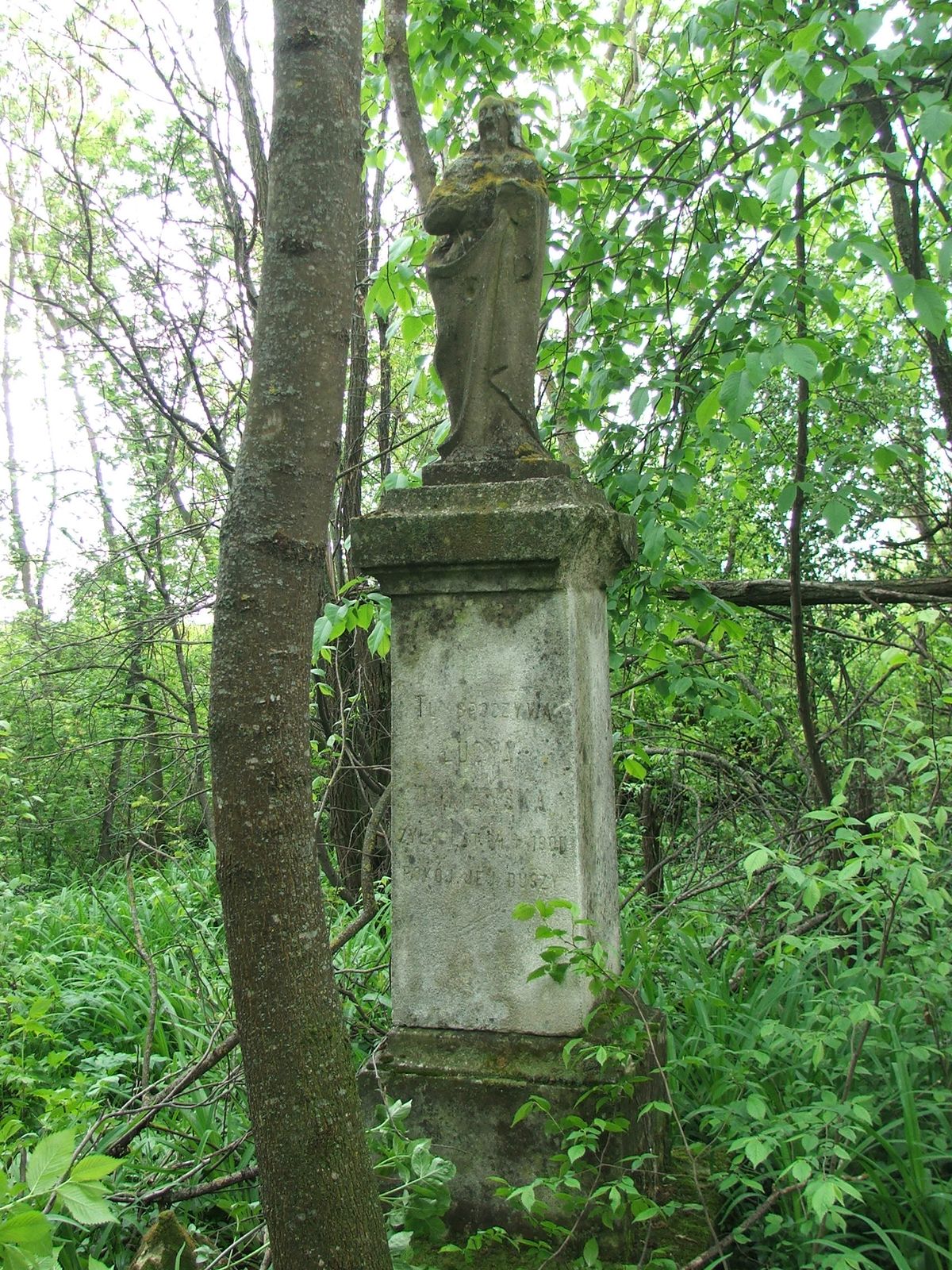 Tombstone of Lucja Dumanska, Vorobyovka cemetery, 2019