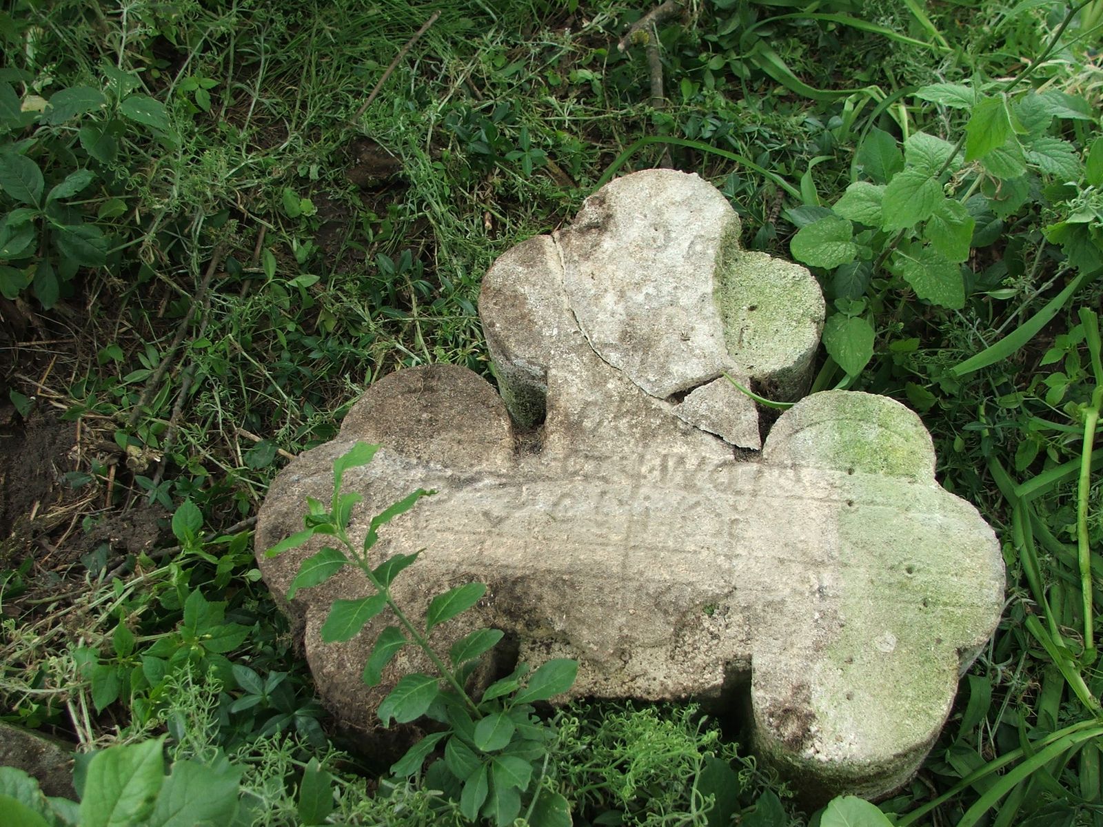 Nagrobek Feliksa N.N., cmentarz w Zbarażu, sektor 02a