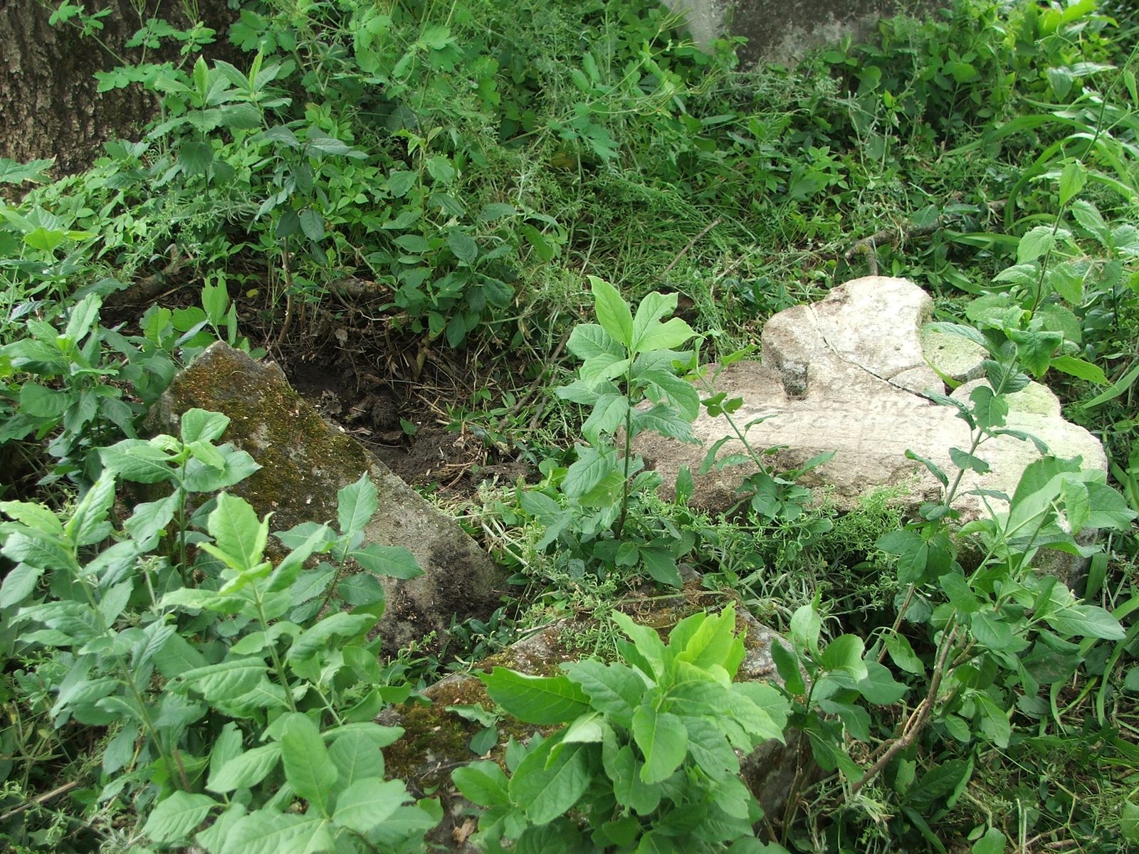 Tombstone of Felix N.N., Zbarazh cemetery, sector 02a