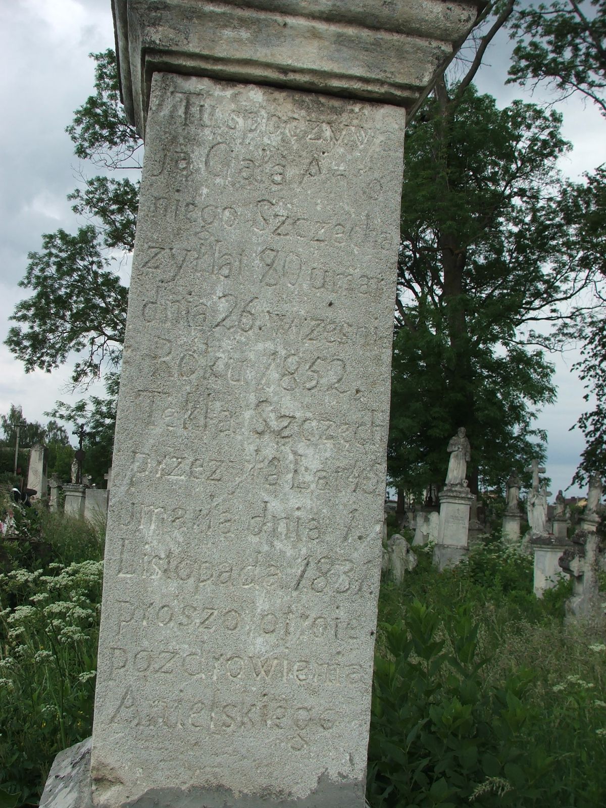 Tombstone of Antoni Szczech and Tekla Szczech, Zbarazh cemetery, sector 02a