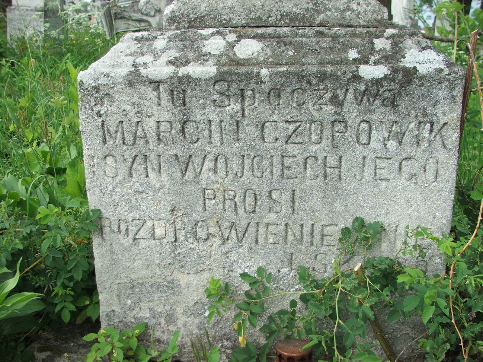 Nagrobek Marcina Czopowika i Wojciecha Czopowika, cmentarz w Zbarażu, sektor 02a