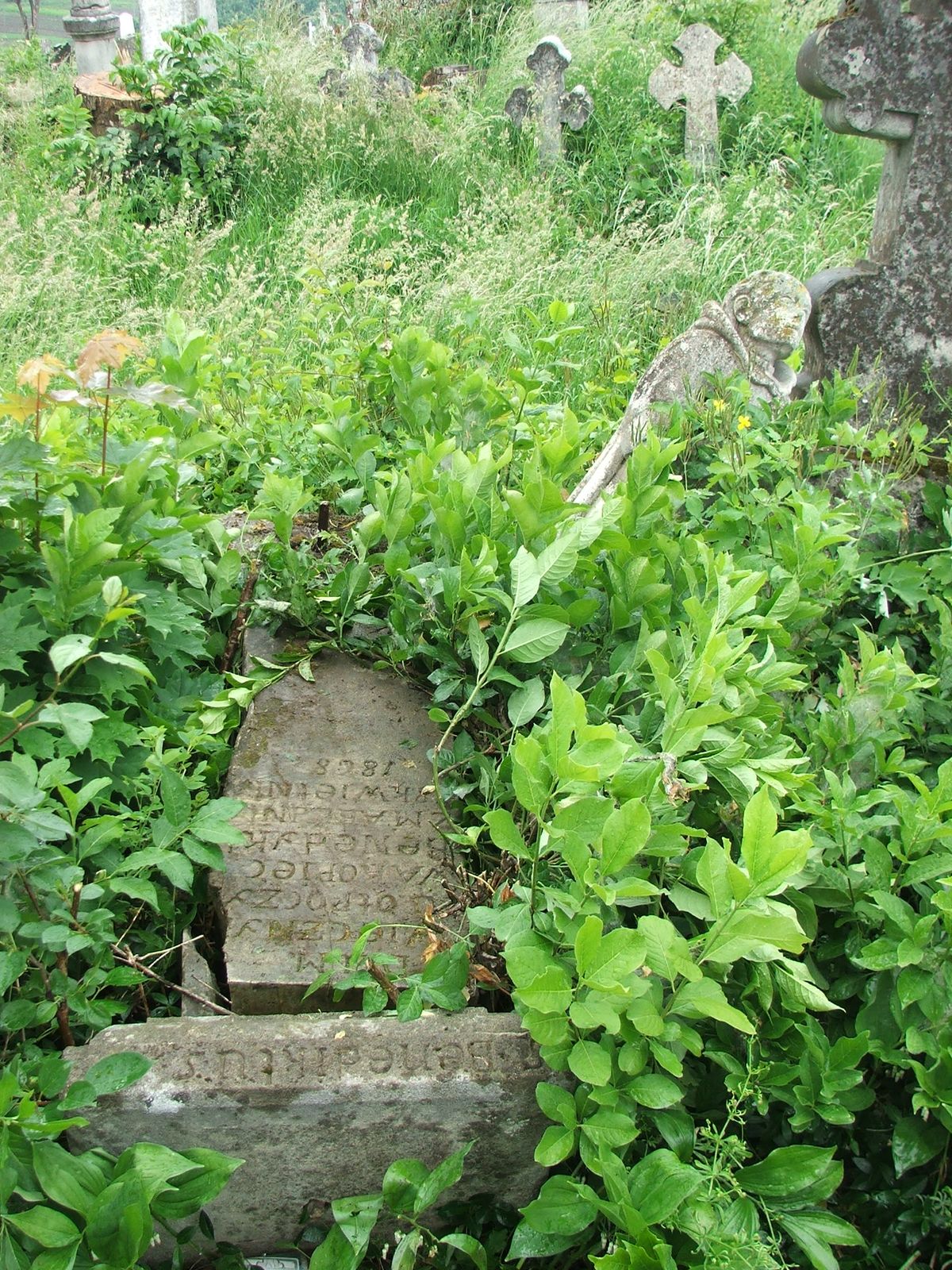 Tombstone of Benedict Kopec cemetery in Zbarazh, sector 02a