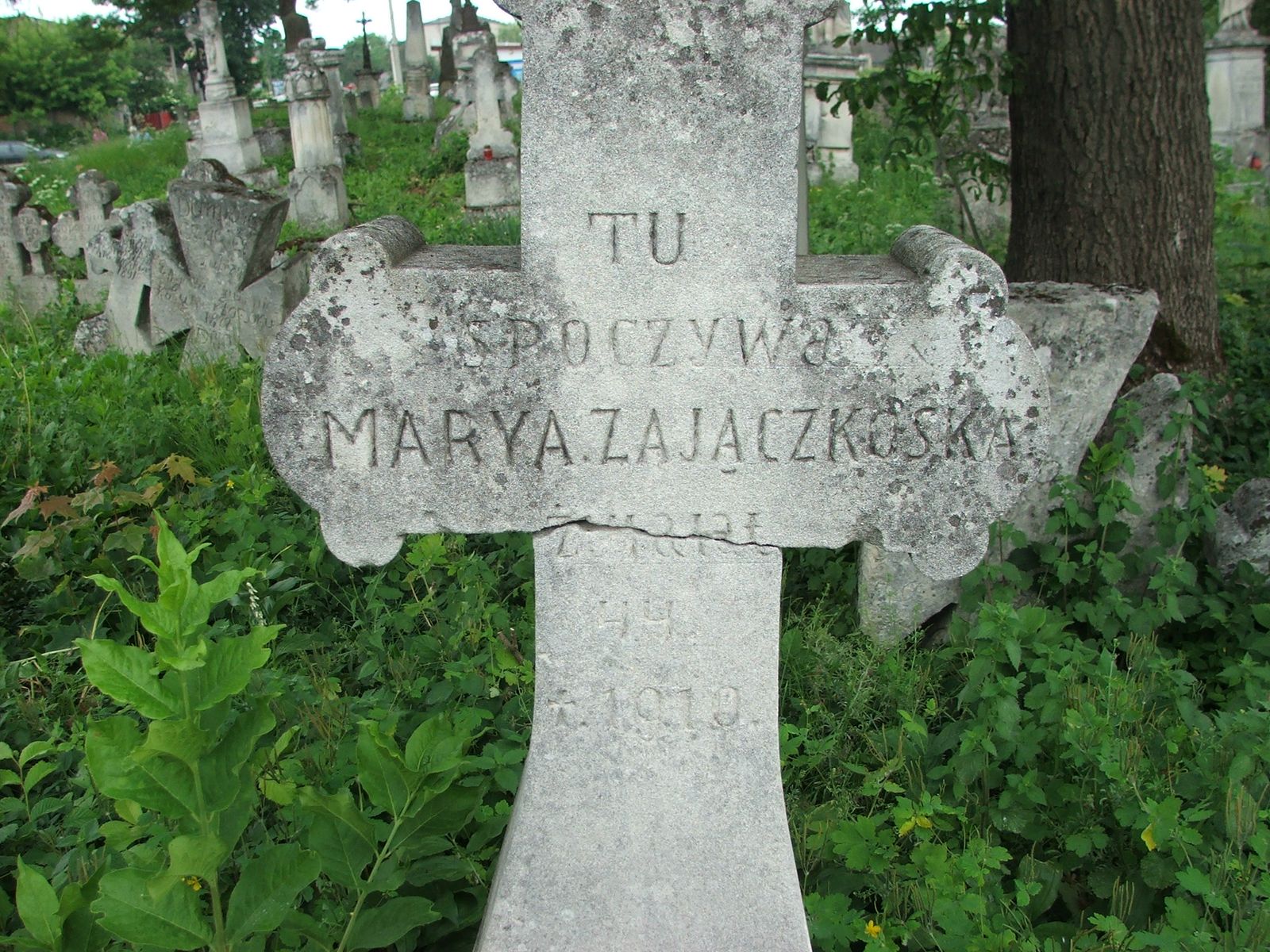 Nagrobek Marii Zajączkowskiej, cmentarz w Zbarażu, sektor 02a
