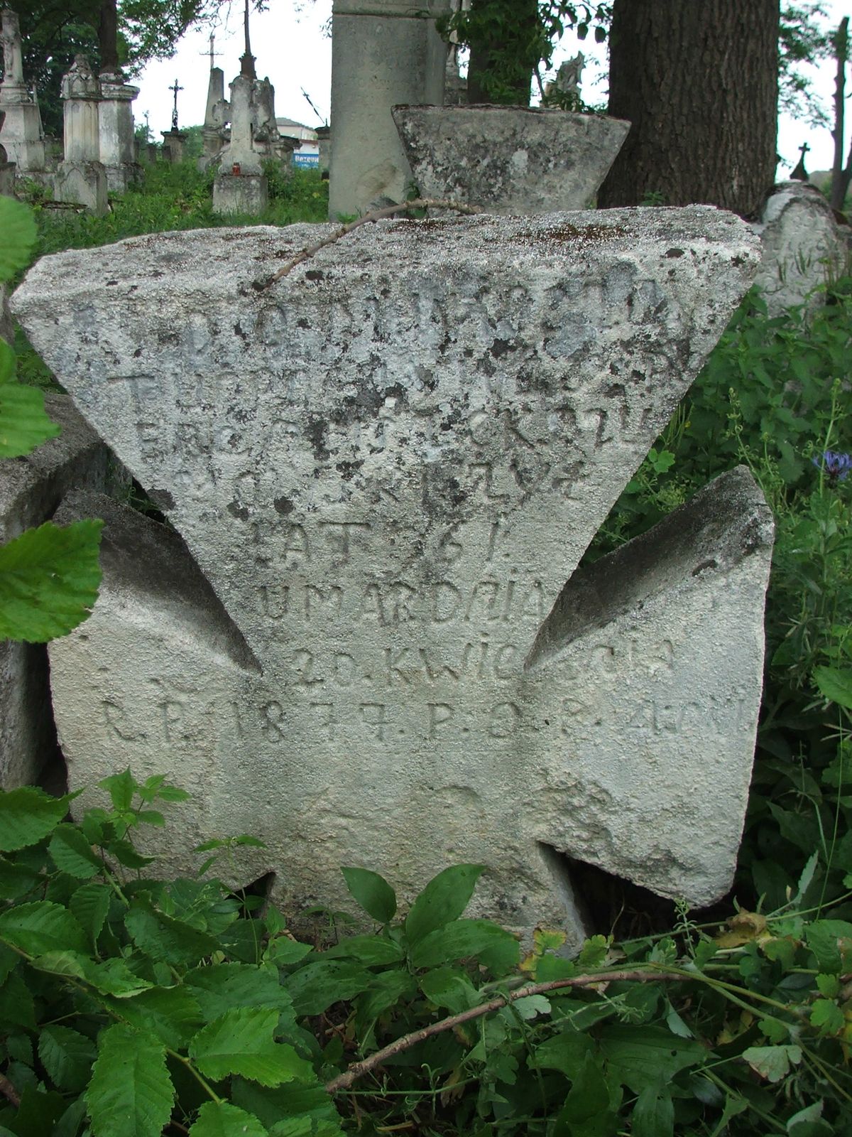 Nagrobek Franciszka Szumowskiego, cmentarz w Zbarażu, sektor 02a