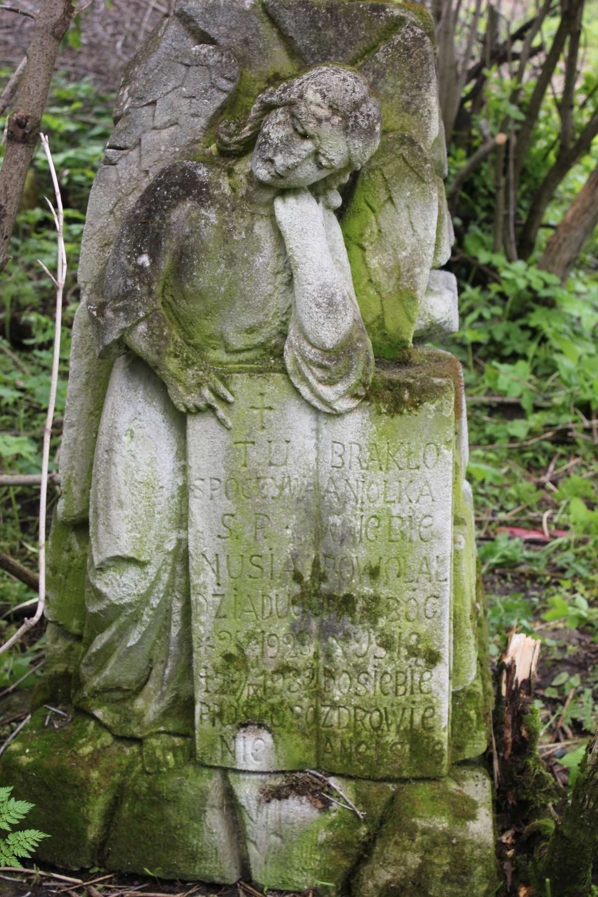 Fragment of the gravestone of Nusi Dziaduch, Toki cemetery, 2019