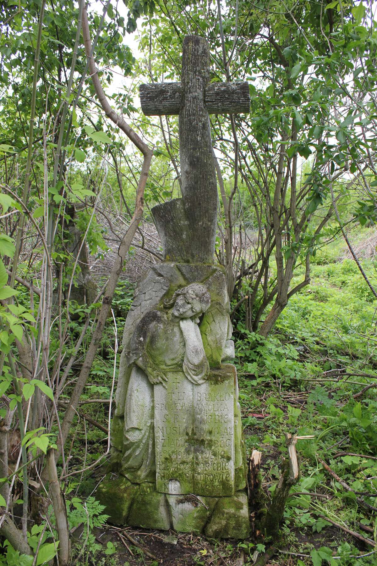 Tombstone of Nusi Dziaduch, Toki cemetery, 2019