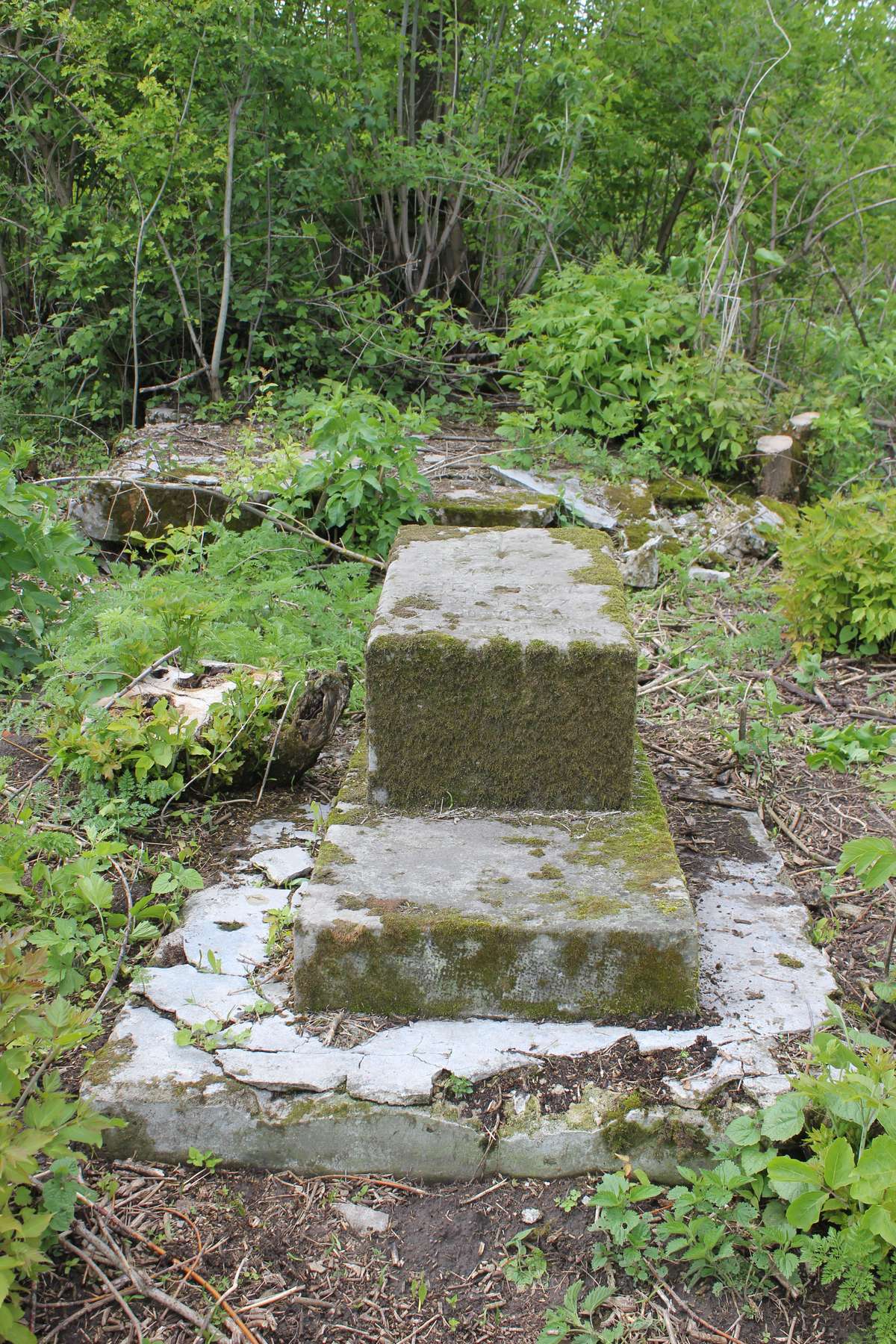 Gravestone of Maria Zielinska, Toki cemetery, 2019