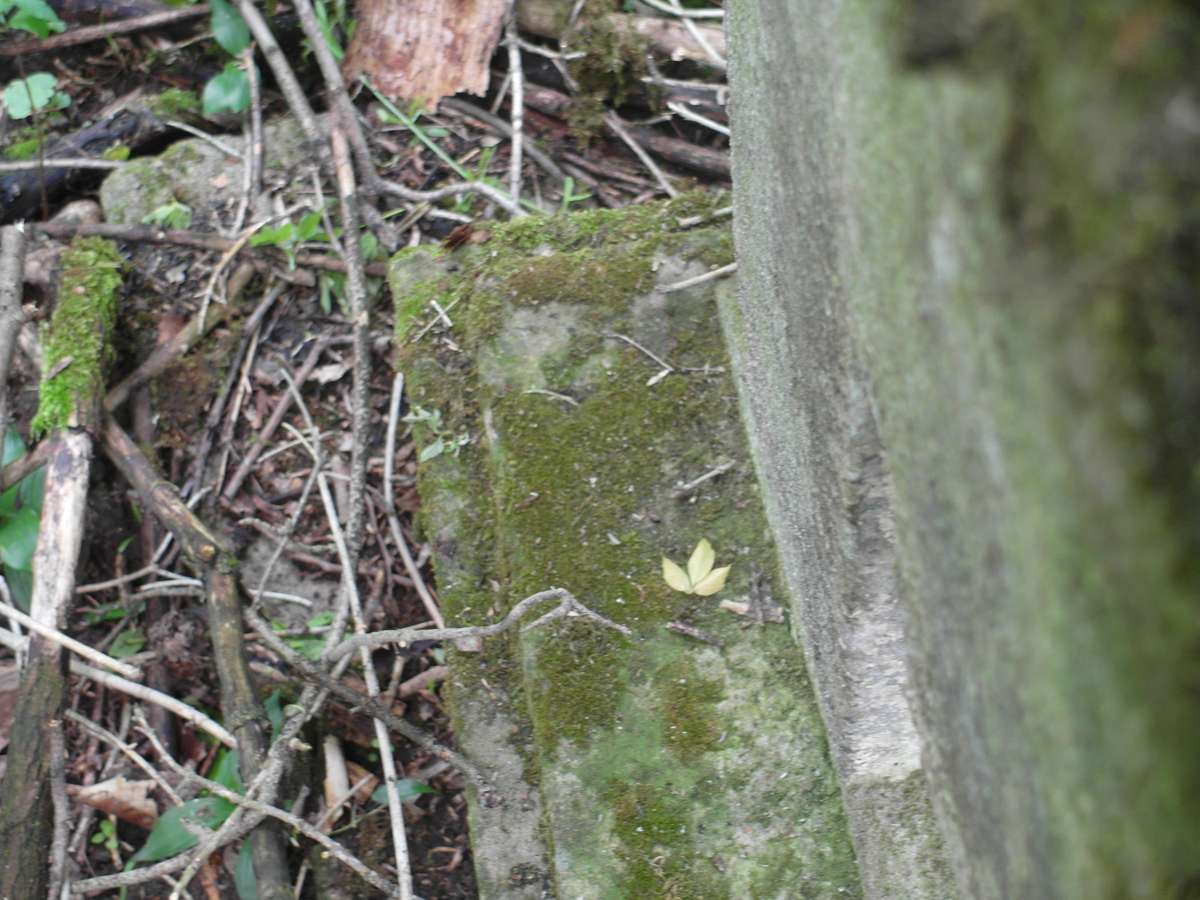 Fragment of the gravestone of Szczepan Szyluka, Toki cemetery, 2019