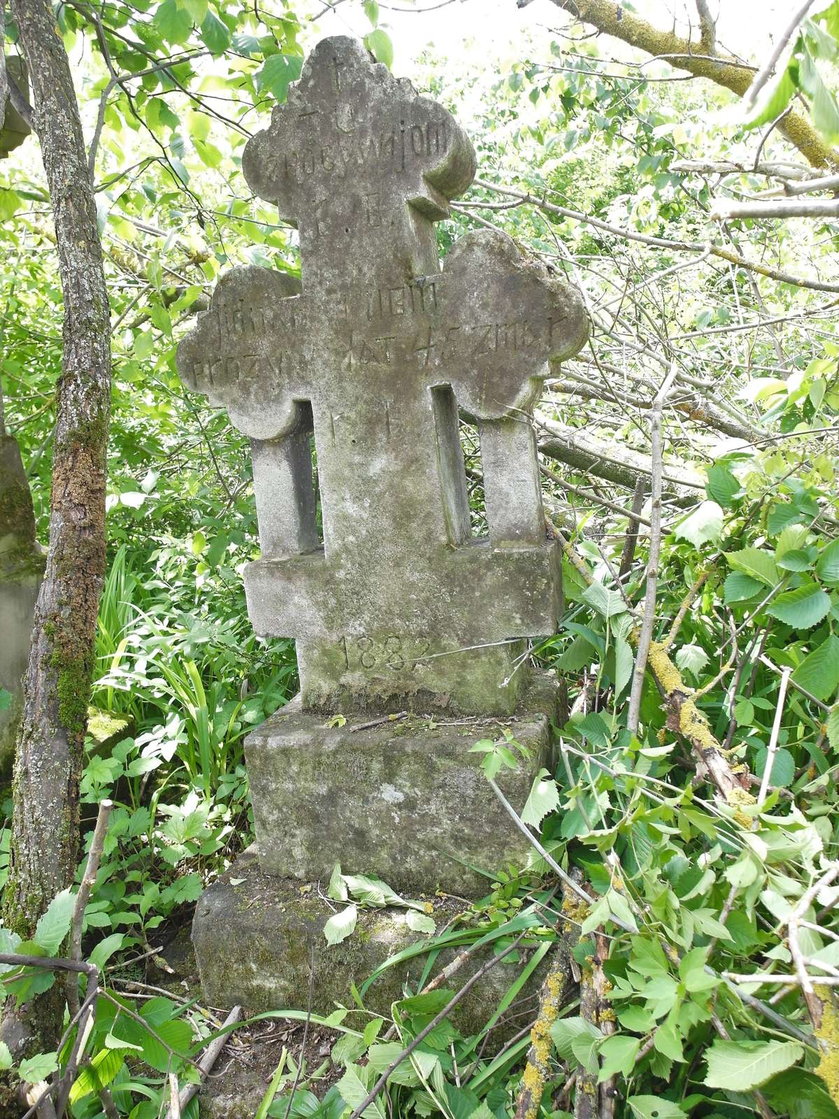 Tombstone of Yidnah Rubin, Toki cemetery, 2019