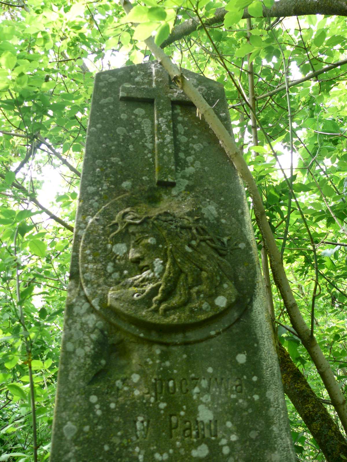 Fragment of the tombstone of Waclaw Zakrzewski, Toki cemetery, 2019