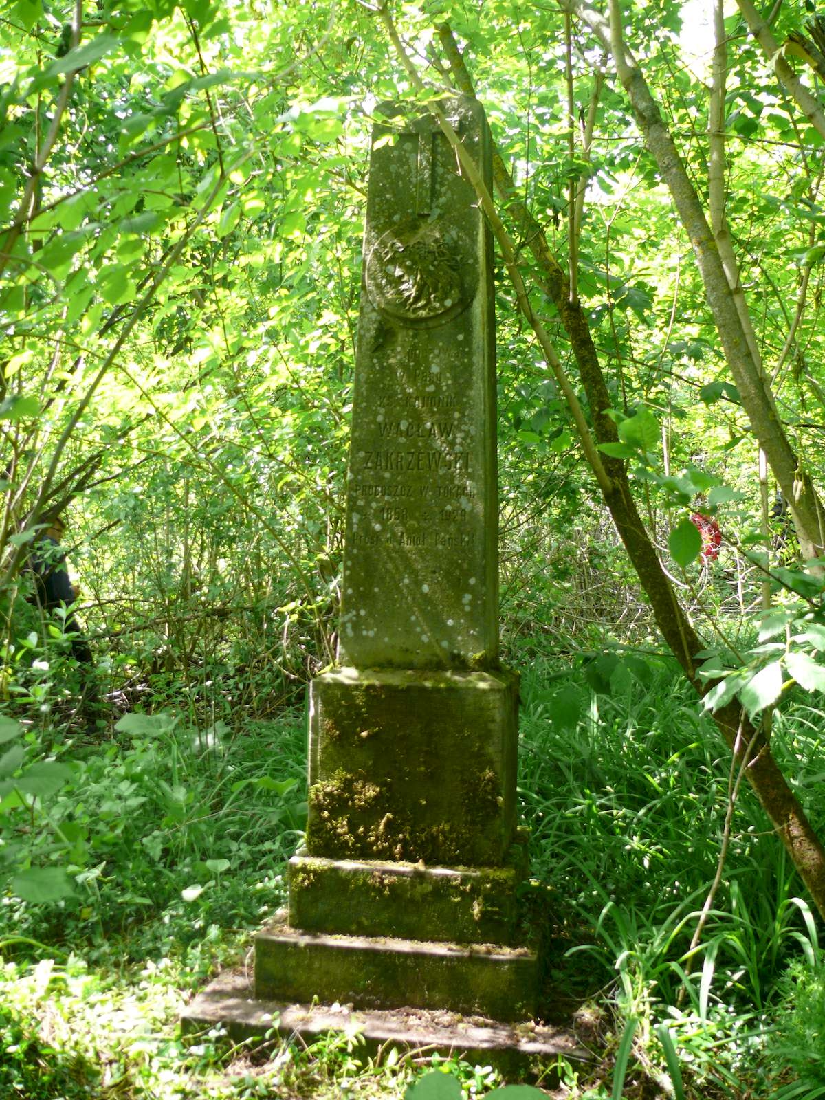 Tombstone of Waclaw Zakrzewski, Toki cemetery, 2019