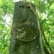 Fotografia przedstawiająca Tombstone of Waclaw Zakrzewski