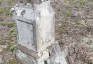 Fotografia przedstawiająca Tombstone of Michał Suchodolski