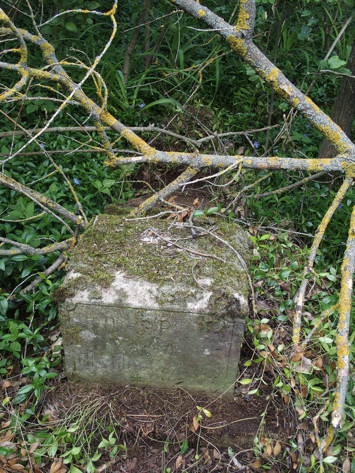 Tombstone of Maria Niebiesczańska, Czernielow Mazowiecki cemetery, cemetery 1