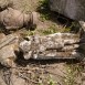 Fotografia przedstawiająca Tombstone N.N.