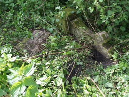 Nagrobek Magdy Zaleskiej, cmentarz w Opryłowcach