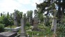 Fotografia przedstawiająca Cemetery in Berezovka Wielka I