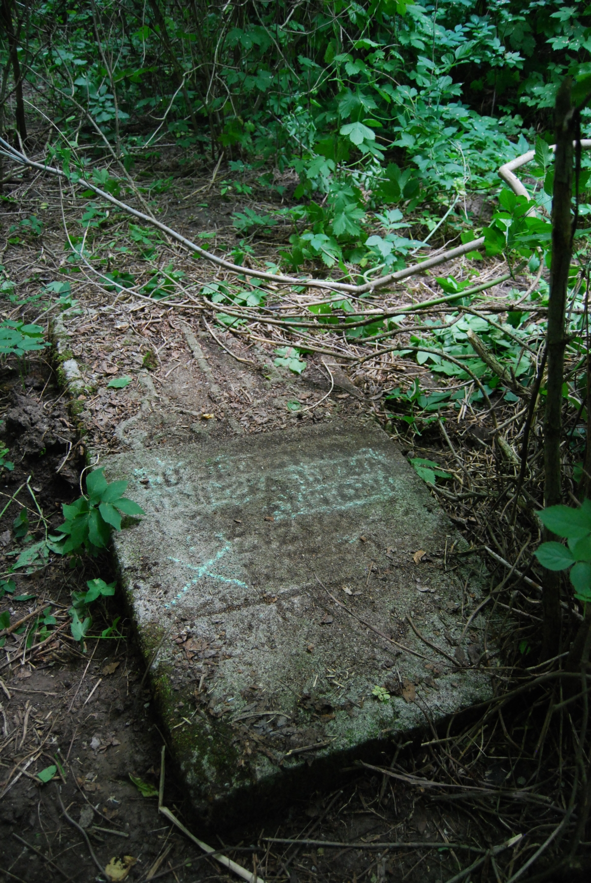 Tombstone of Agnes Duha and Anthony N.N, Petrykovo cemetery