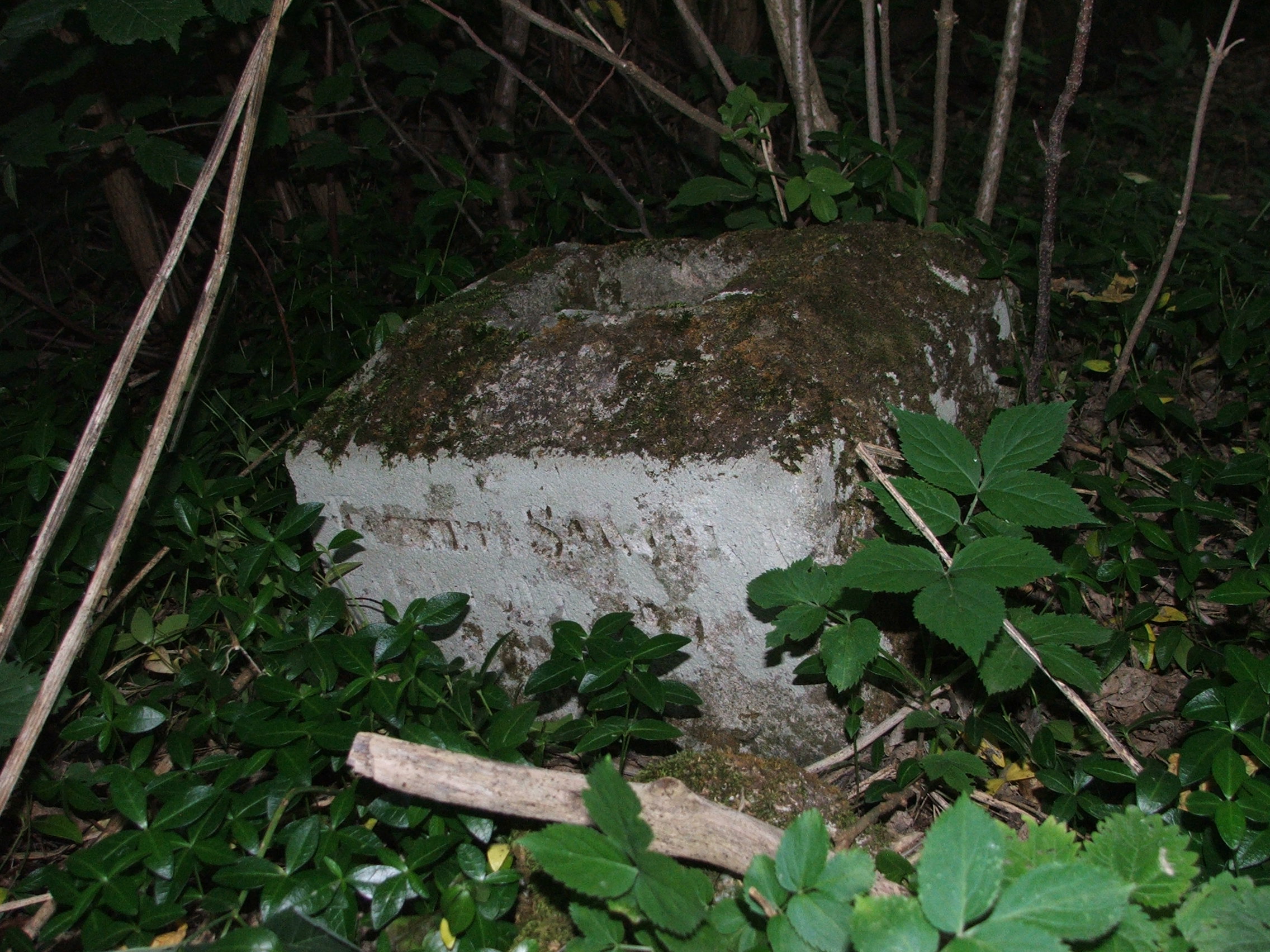 Tombstone of Tekla Szczęsnowicz cemetery in Petryków