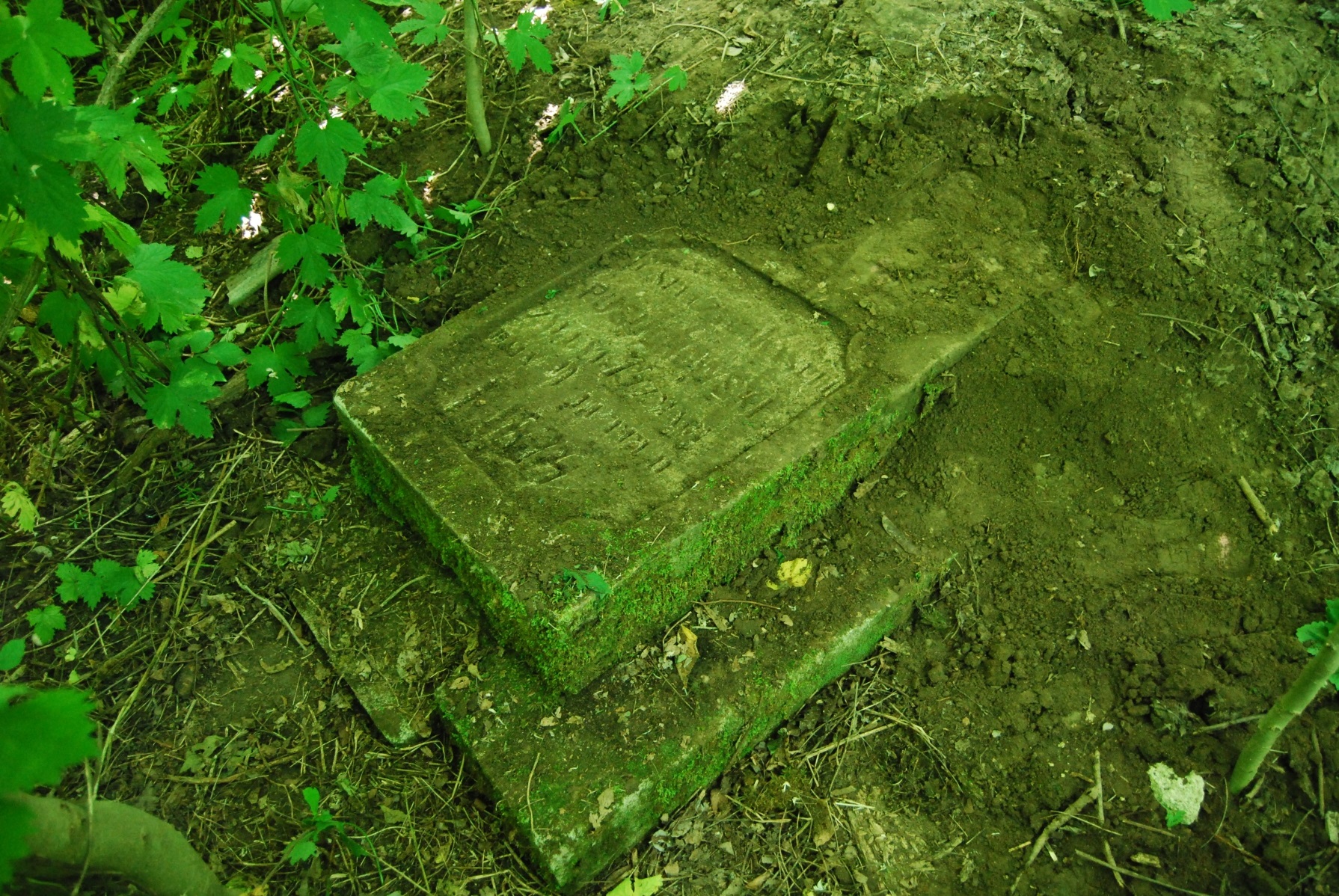 Tombstone of N. Posuchowski, cemetery in Petryków