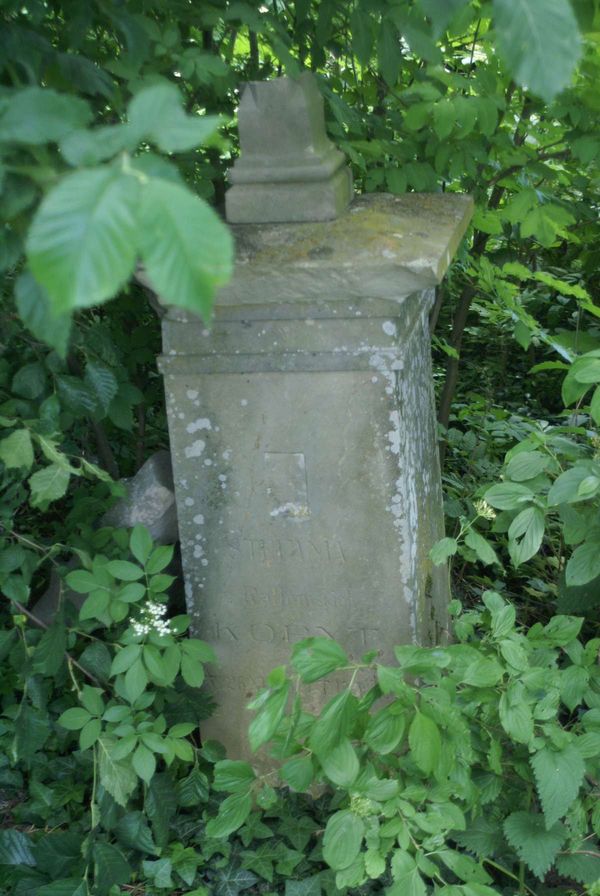 Tombstone of Stefania Kopyt, Petrykovo cemetery