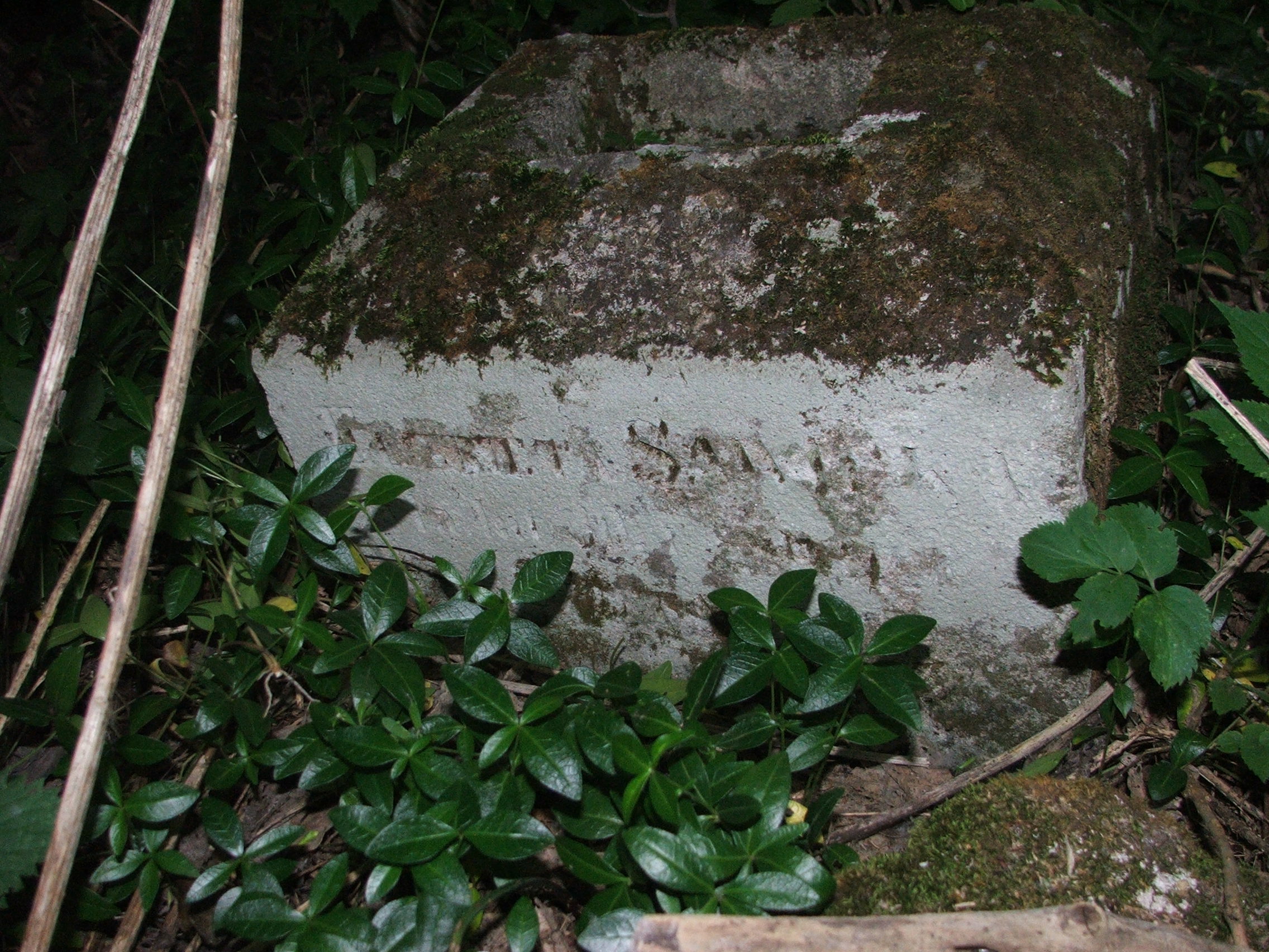 Tombstone of Elżbieta Sawicka, Petryków cemetery