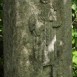 Fotografia przedstawiająca Tombstone of N.N. Jasinska